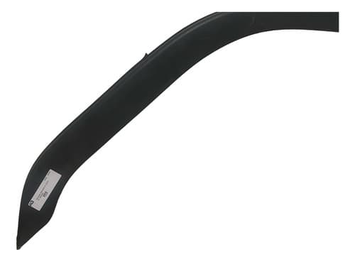 004262 Moldura Paralama Ld Volvo Fh 20529684