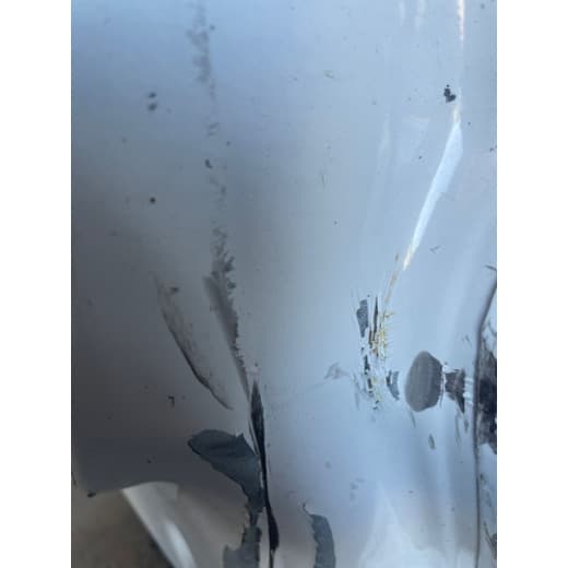 005427 - Porta LD VW Delivery Express 9170 com Detalhe